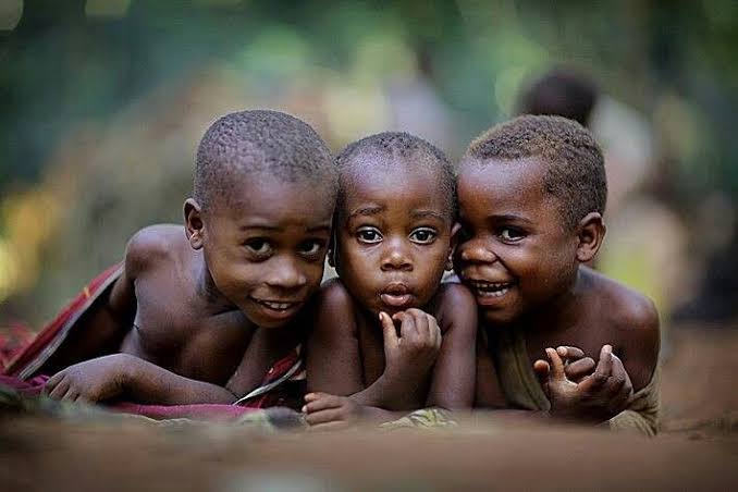 Image of STORY OF OSUOFIA,AKI,PAWPAW AND OMA